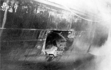 f__gallgneisebrest10